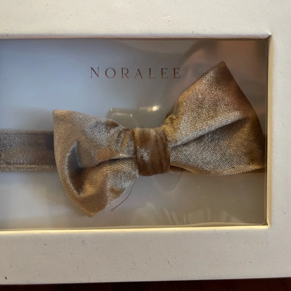 Noralee honey velvet Bow Tie NWT